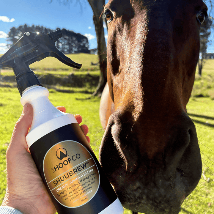 natural fly spray for horses
