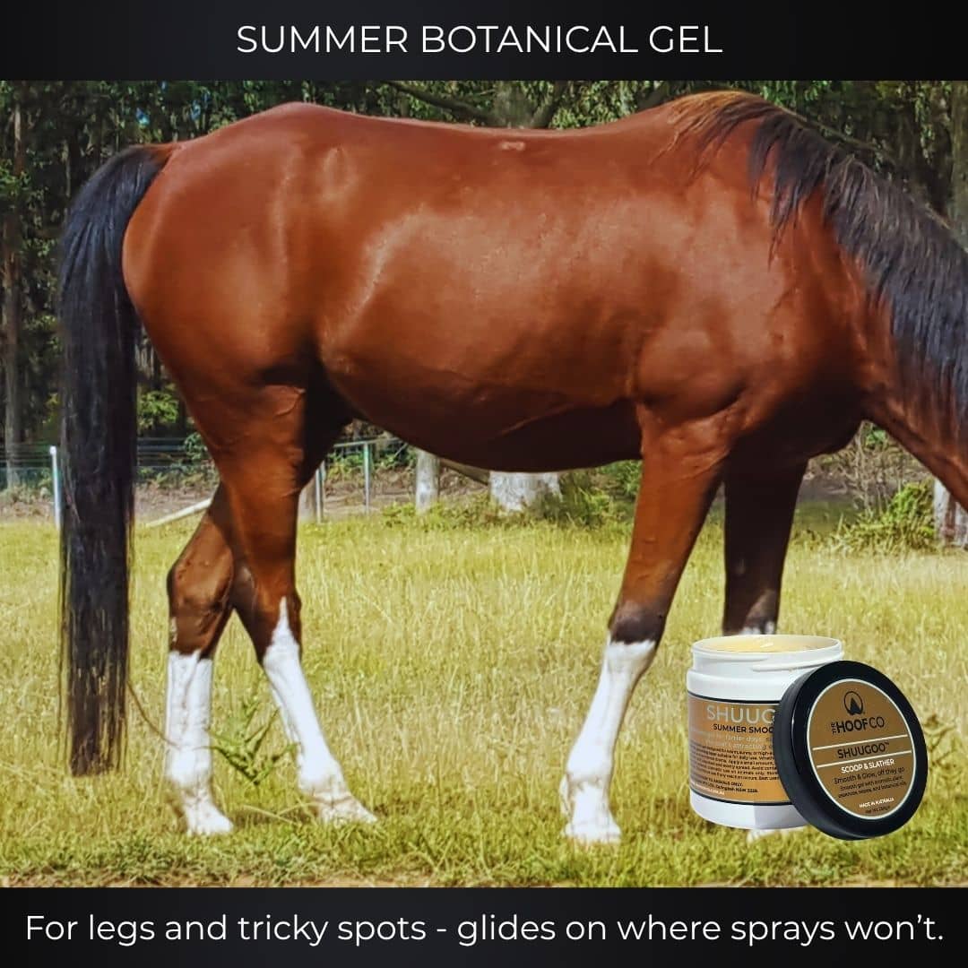 Fly repellent gel