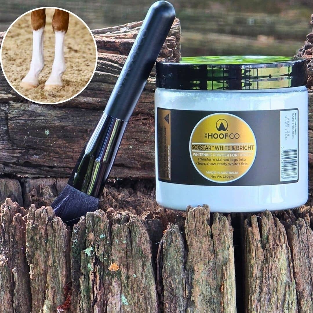 Soxstar whitening powder for bright white horse socks, legs and markings