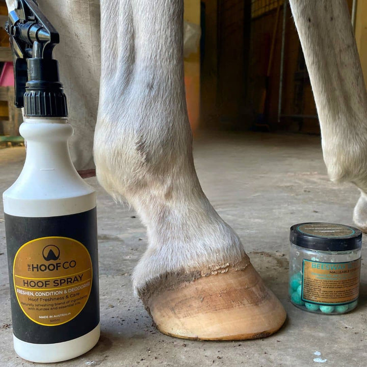 The Hoof Co Hoof Spray with Kunzea Oil and Beeswax Blue Balls hoof wax beside a horse's hoof in a stable"