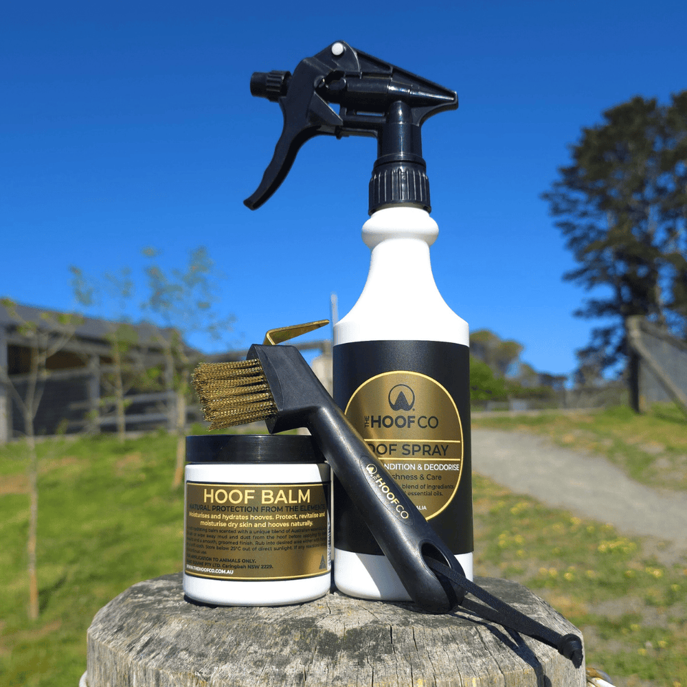 Summer Hoof Care essentials