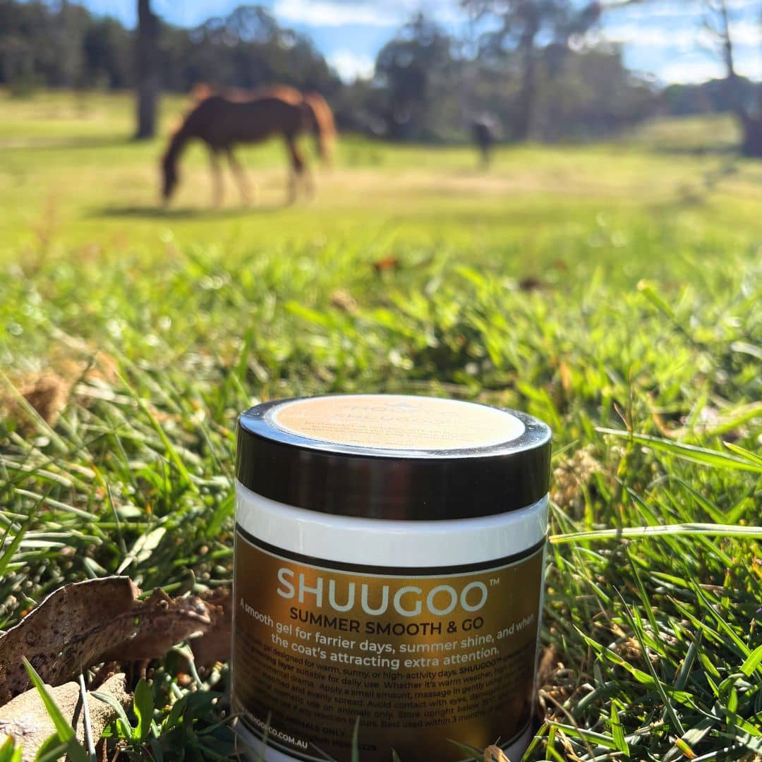 Shuugoo summer gel for horses
