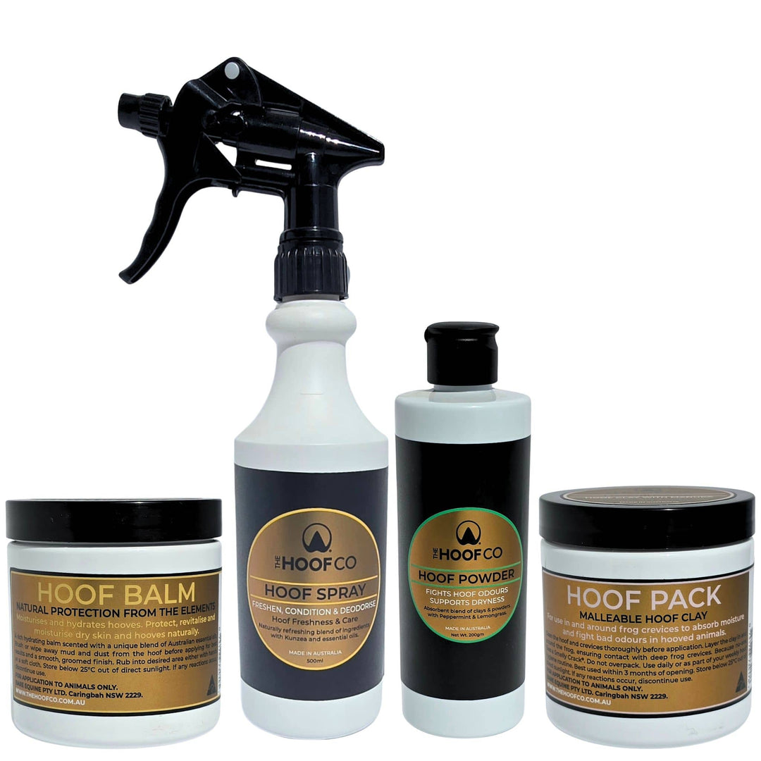 hoof care essentials for hoof maintenance in wet and dry weather