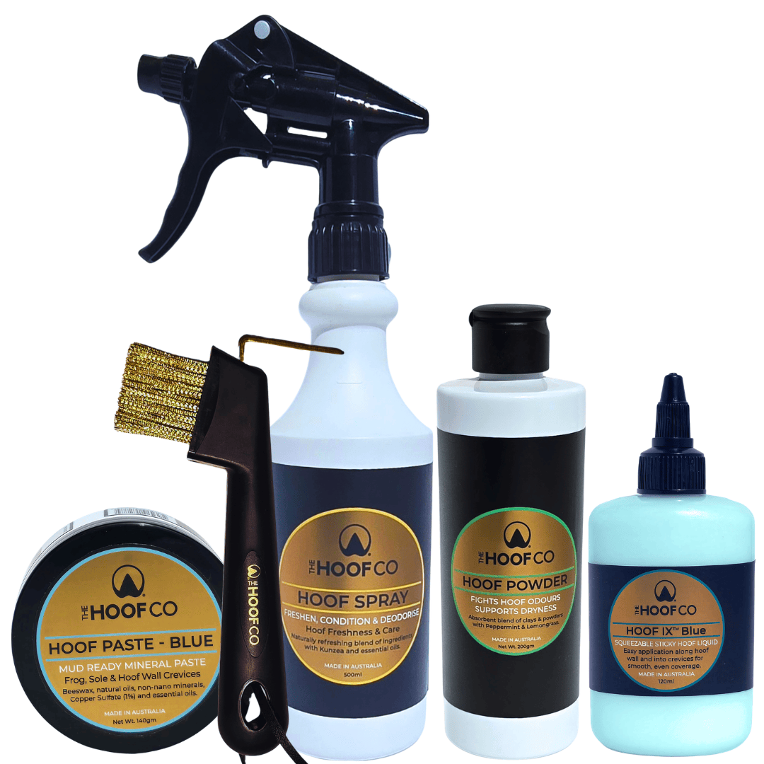 Wet Weather Hoof Care Bundle for horses with hoof spray, hoof powder, Hoof IX Blue, Hoof Paste Blue and wire hoof pick