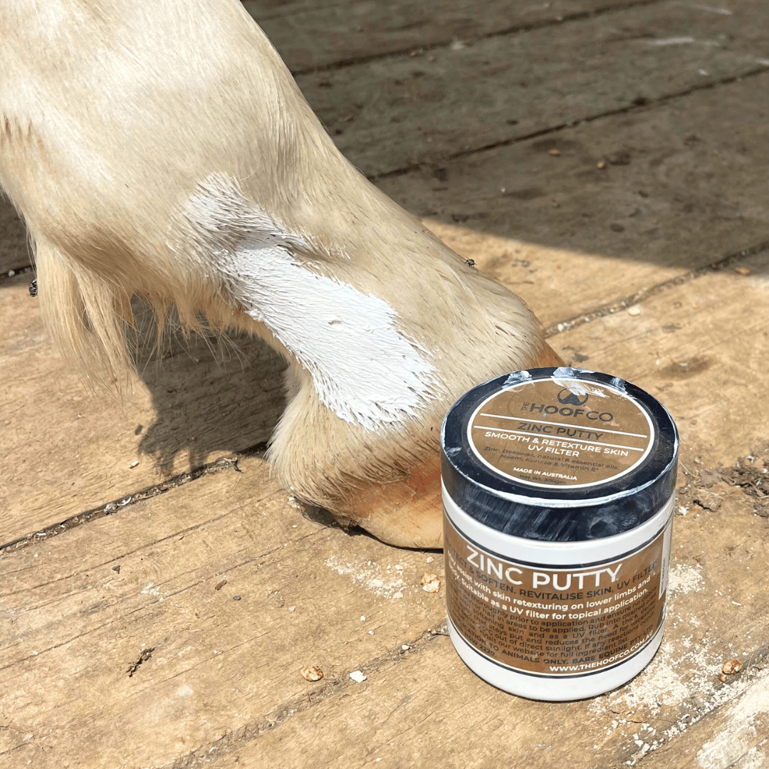 Zinc Putty for Horses 300g