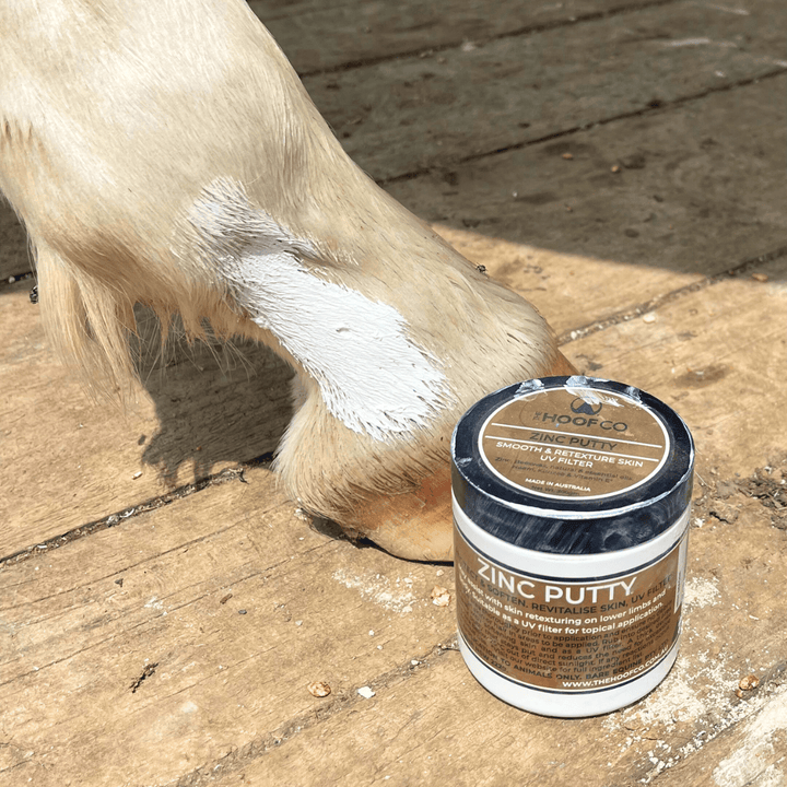 Zinc Putty for Horses 300g