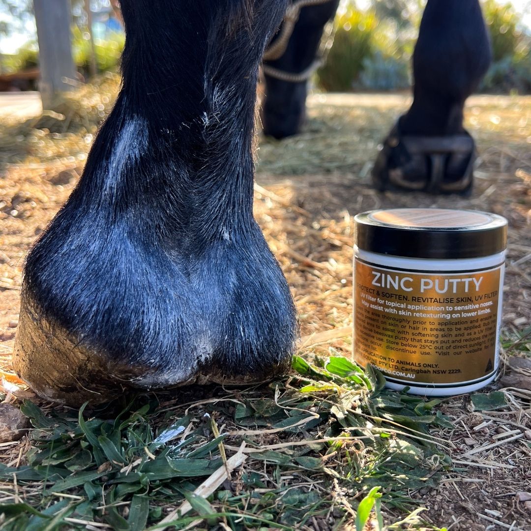 Zinc putty thick barrier wax for horses hoof care