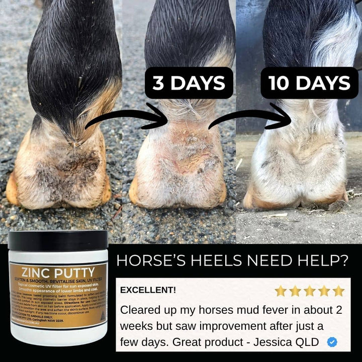 Zinc putty applied to horse hoof with greasy heel