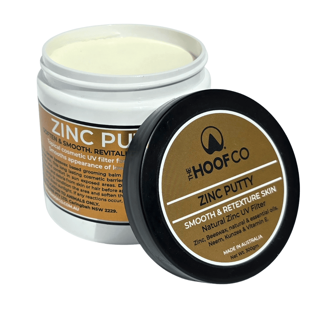 Zinc Putty for Greasy Heel 