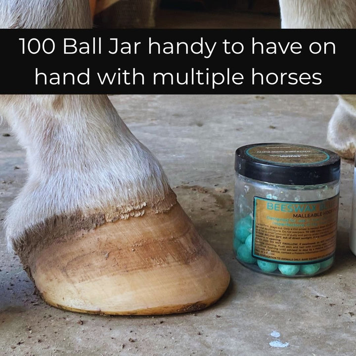The Hoof Co 100 ball jar of Beeswax Blue Balls hoof wax, handy for multiple horses