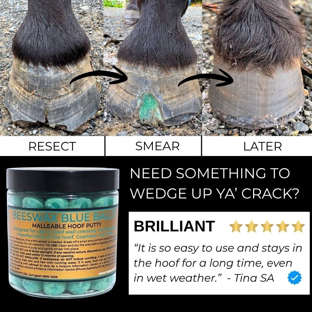 Resect, smear and heal steps using The Hoof Co Beeswax Blue Balls malleable hoof putty