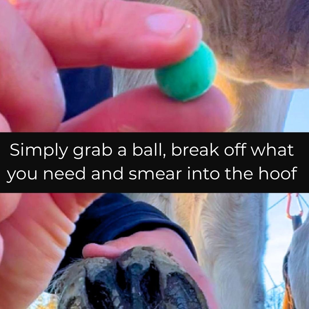 Breaking off a piece of Beeswax Blue Balls hoof wax and smearing it into a horse's hoof
