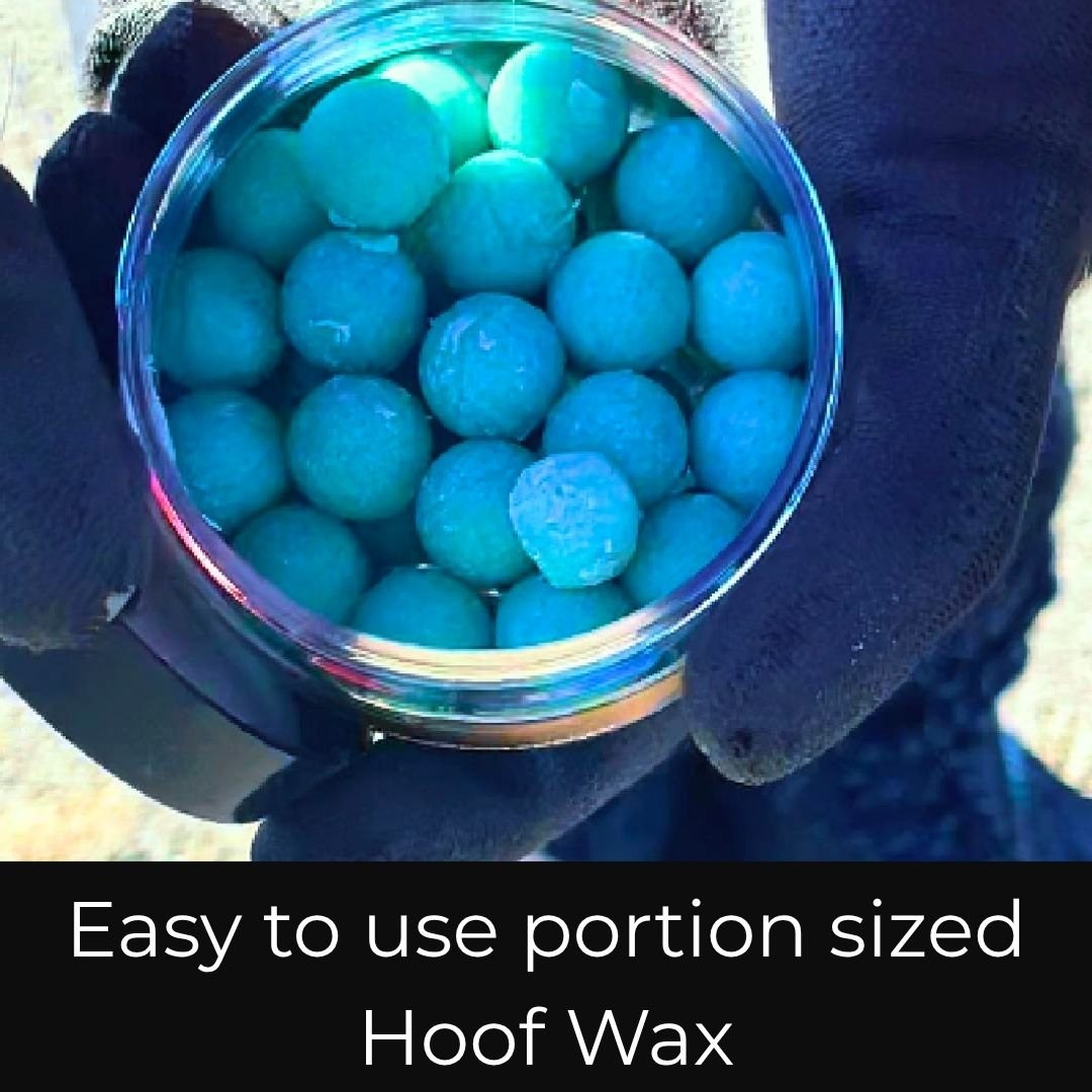 Hand holding a jar of teal Beeswax Blue Balls, easy-to-use portion-sized hoof wax