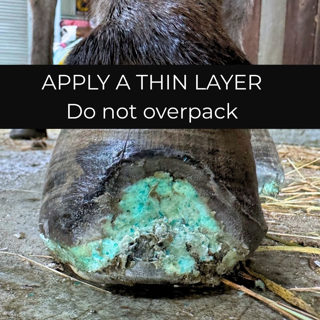 Beeswax Blue Balls hoof wax applied in a thin layer to a horse's hoof wall crevice, do not overpack