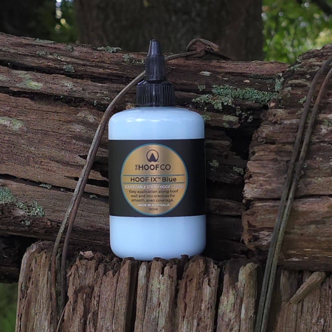 Hoof Ix hoof hygiene liquid