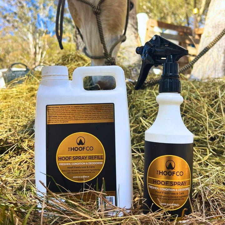 The Hoof Co Hoof Spray 500 ml bottle and 2 litre refill container side by side with a horse