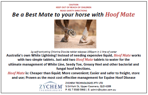 Hoof Mate - Trial Size 6 TABLETS